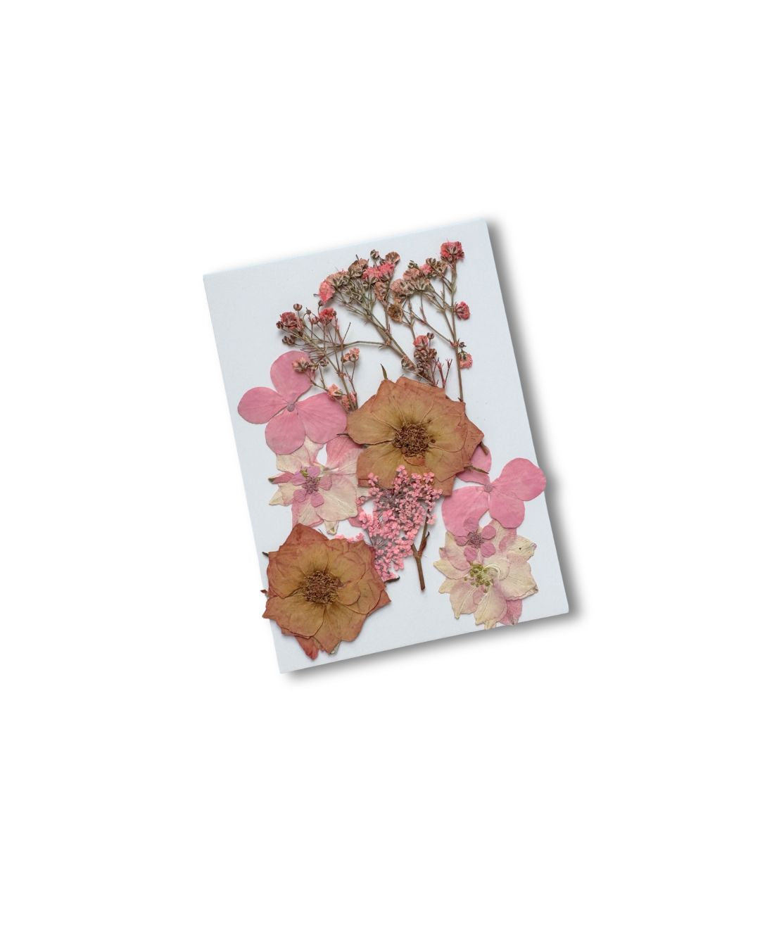 Face Flowers Dusty Rose