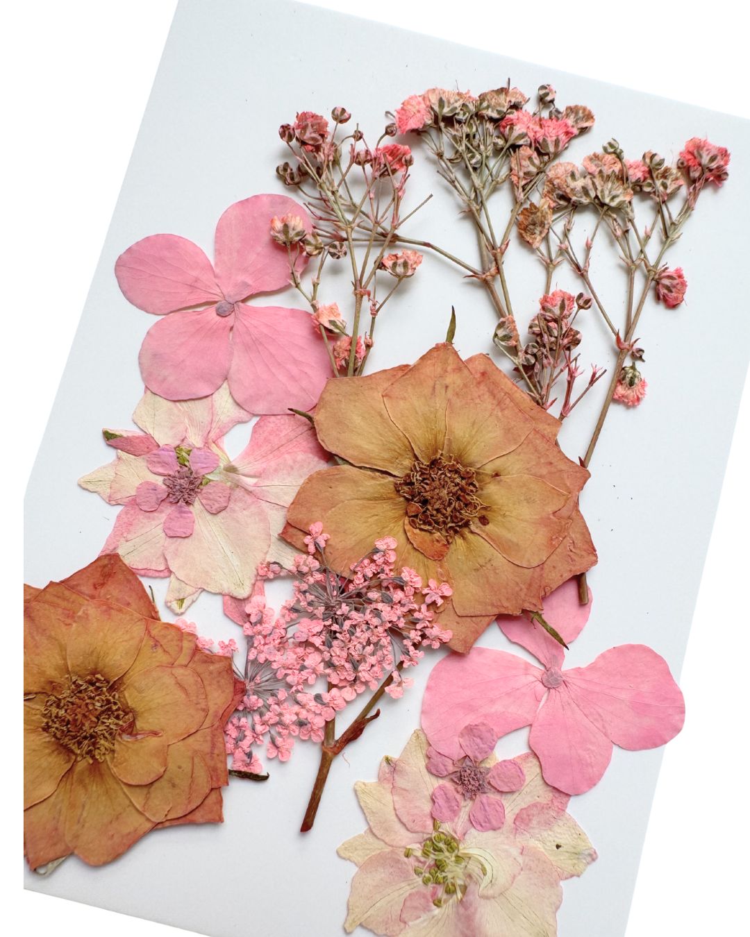 Face Flowers Dusty Rose