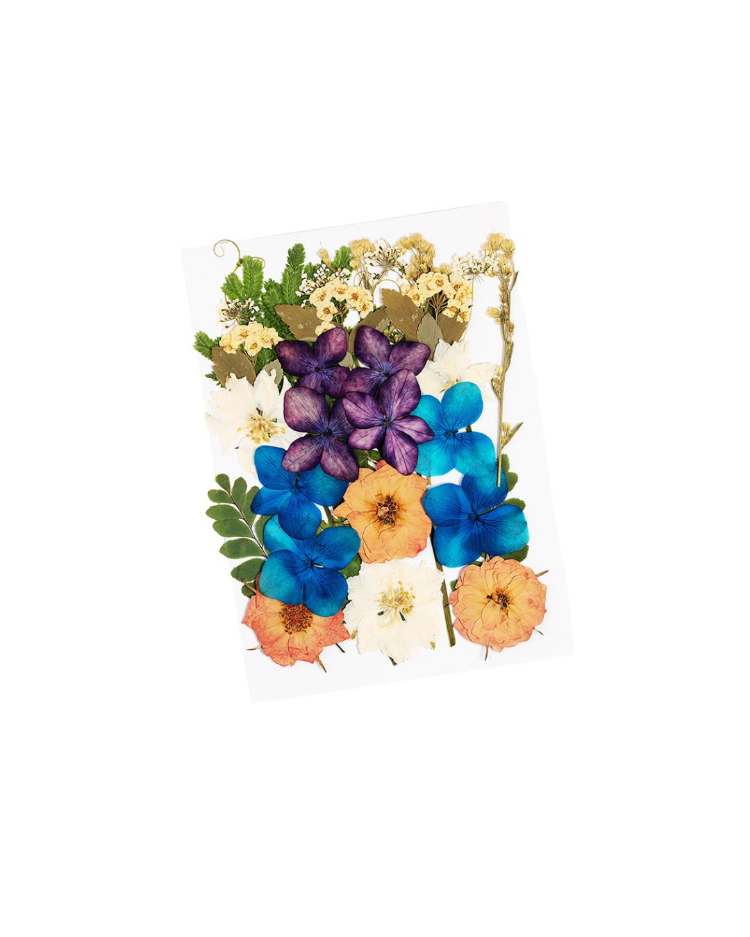 GLITTERNISTI Face Flowers Harvest Bloom