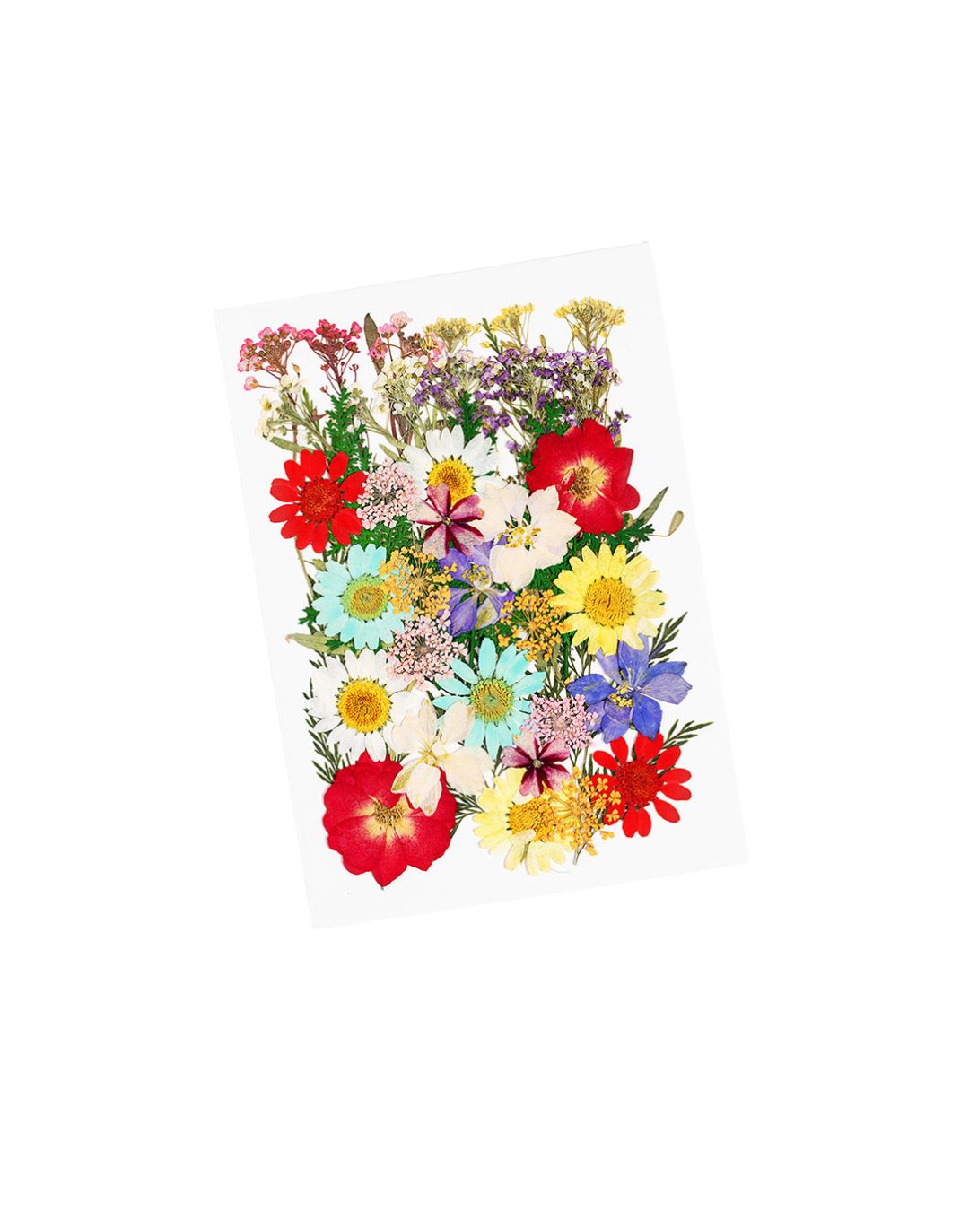 GLITTERNISTI Face Flowers Pastels