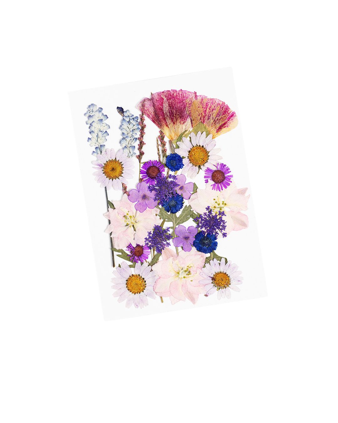 GLITTERNISTI Face Flowers Plum Blossom