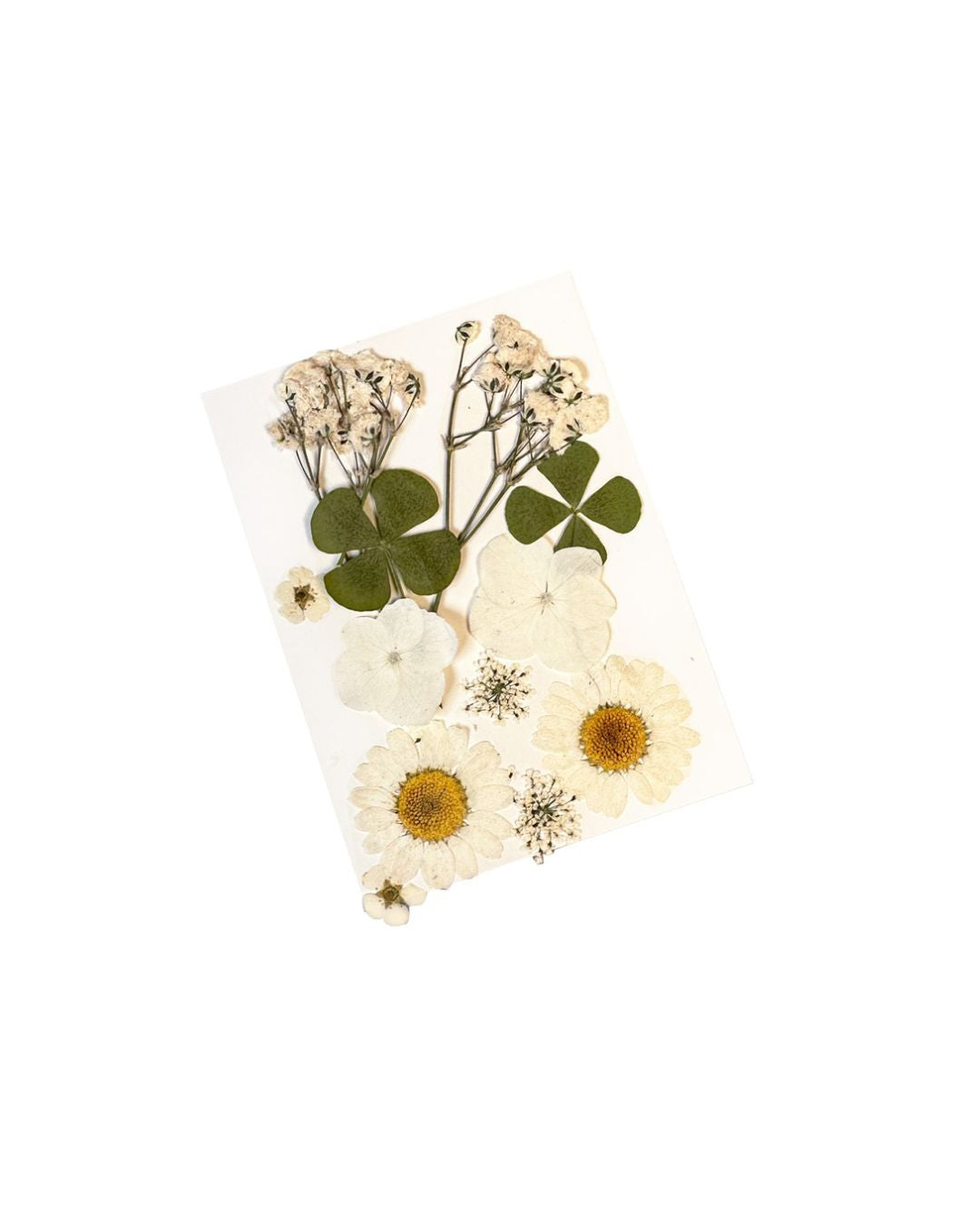 GLITTERNISTI Face Flowers White