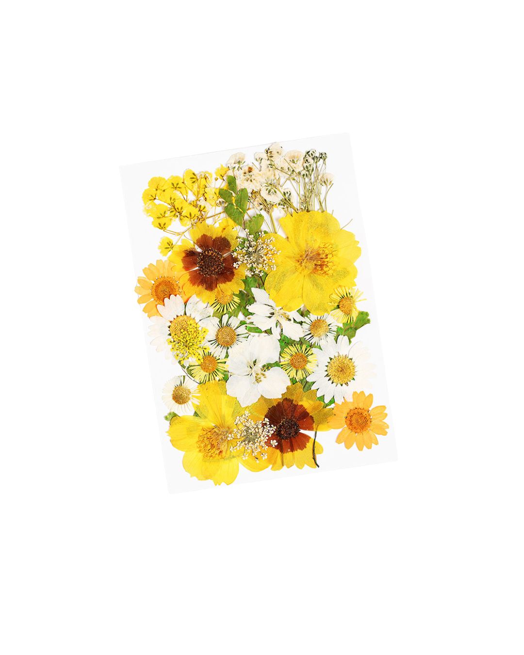 GLITTERNISTI Face Flowers Yellows